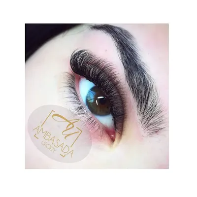 Ambasada Urody Marika